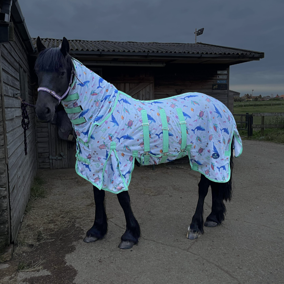 Understanding 'Sweet Itch' in Horses