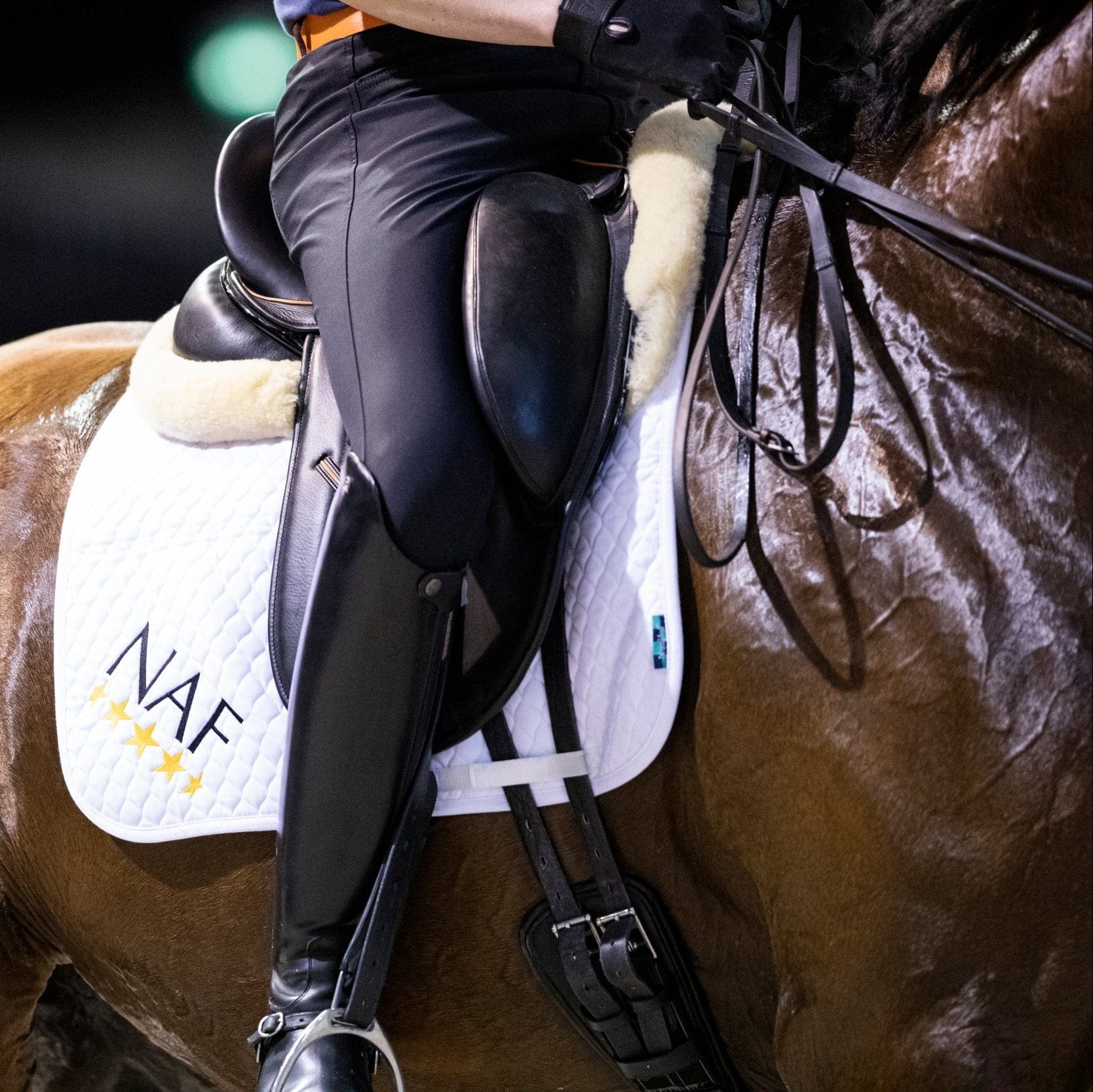 Electrolytes for Horses