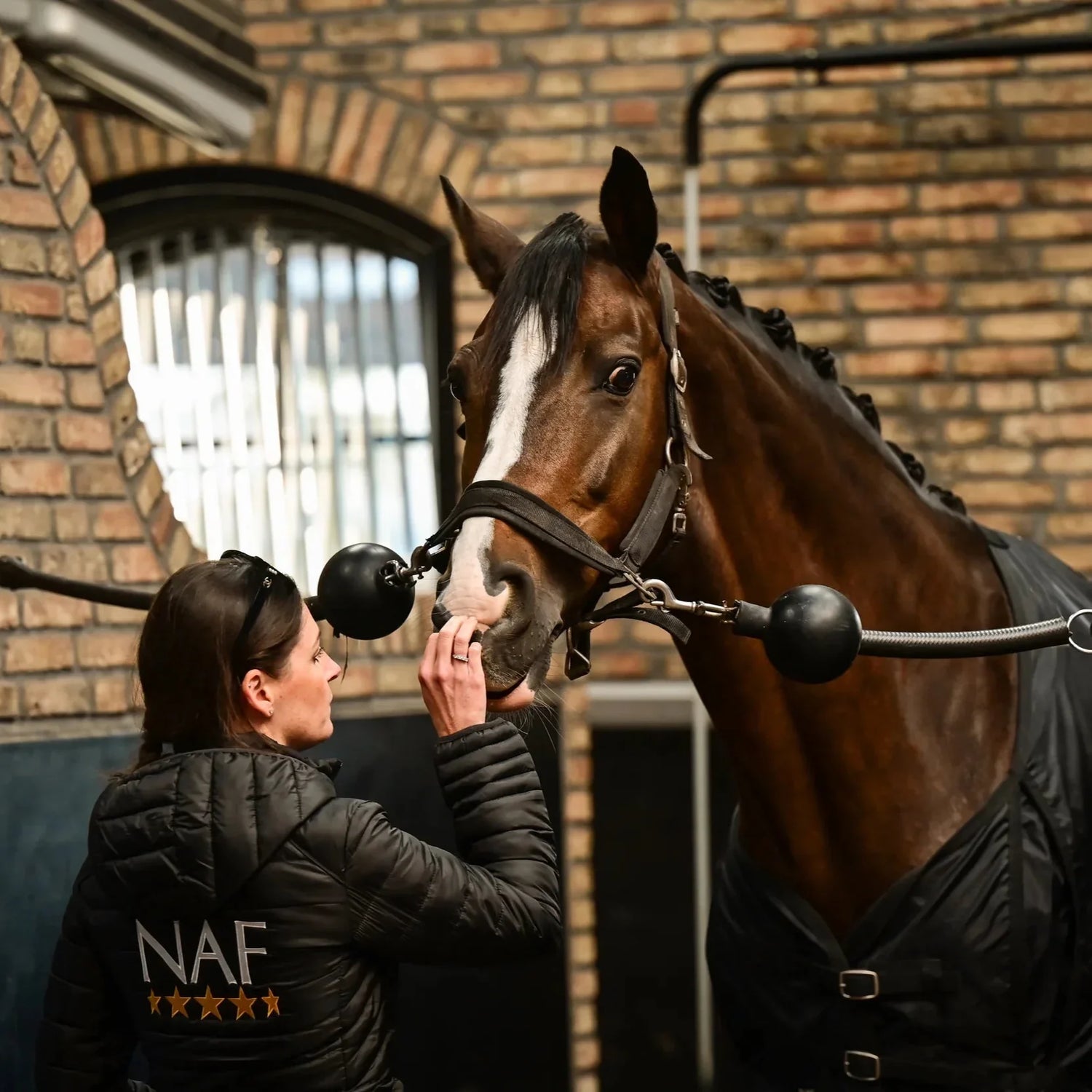 Managing Your Mare’s Hormones