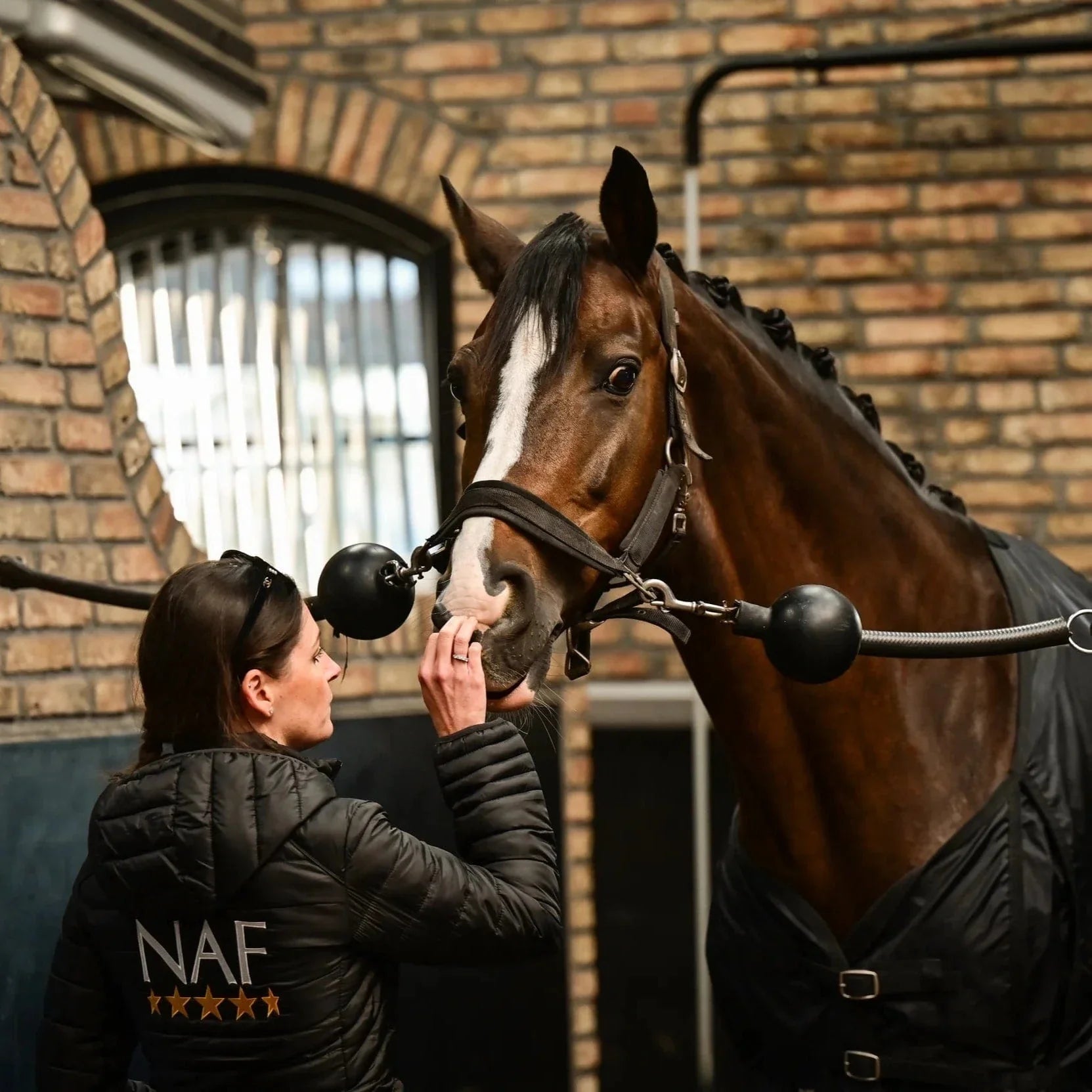 Managing Your Mare’s Hormones