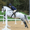 Grey horse and rider showjumping