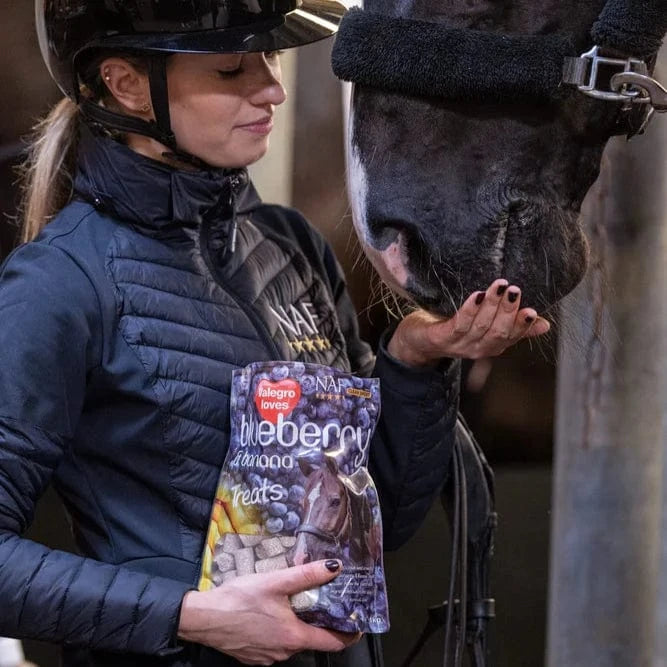 naf-equine Blueberry & Banana Treats 1 kg Treat