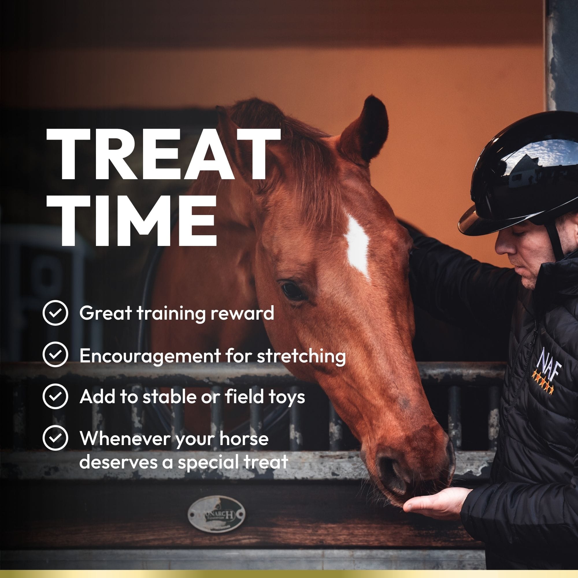 naf-equine Blueberry & Banana Treats 1 kg Treat