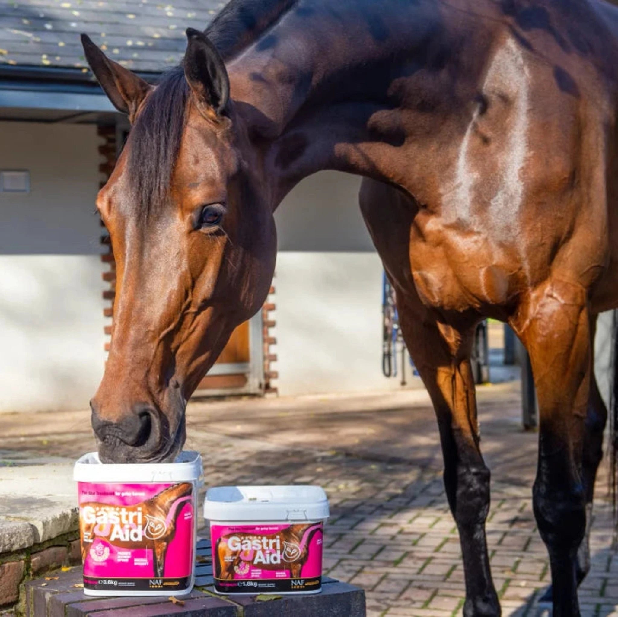 naf-equine GastriAid Powder Supplement
