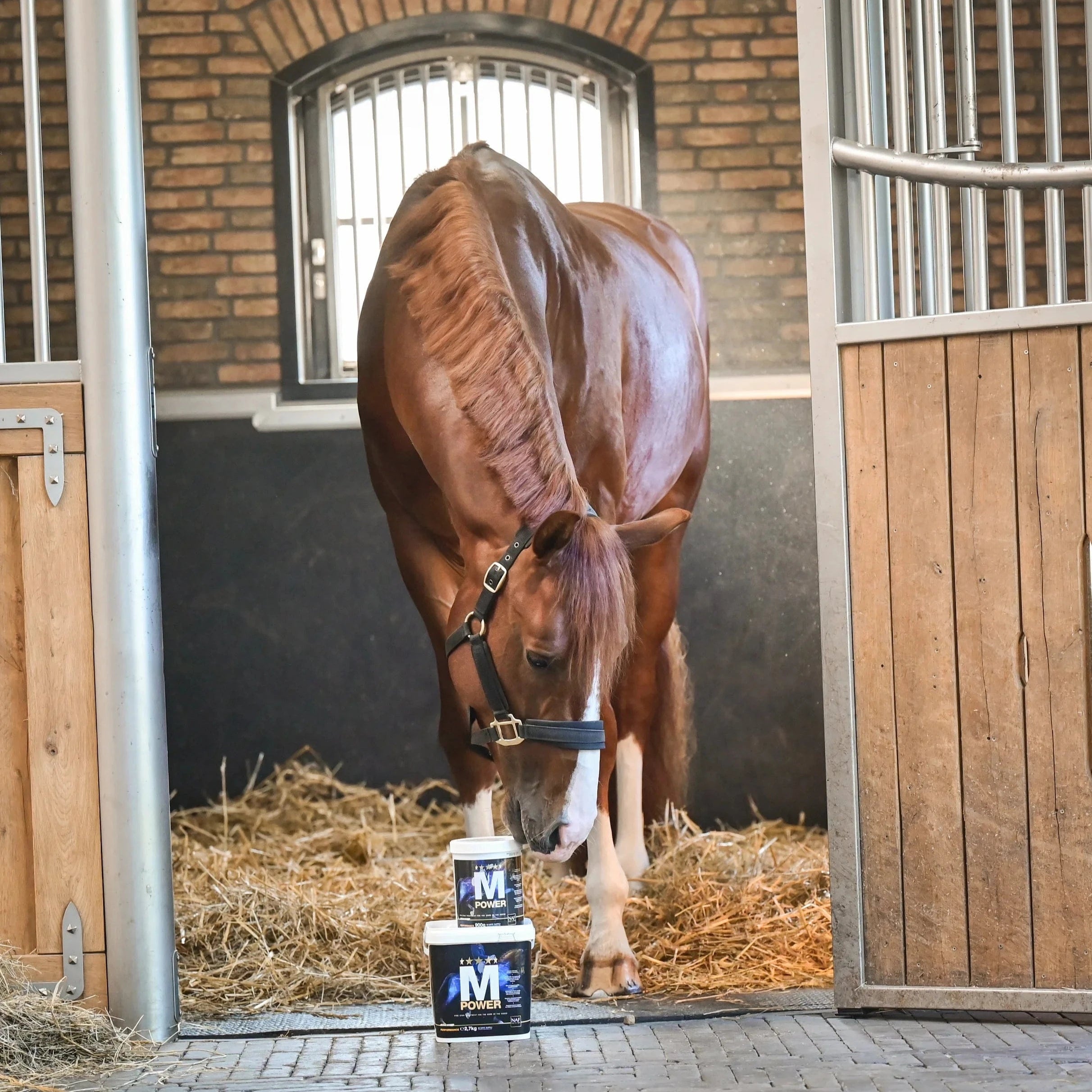 naf-equine M Power Powder Supplement