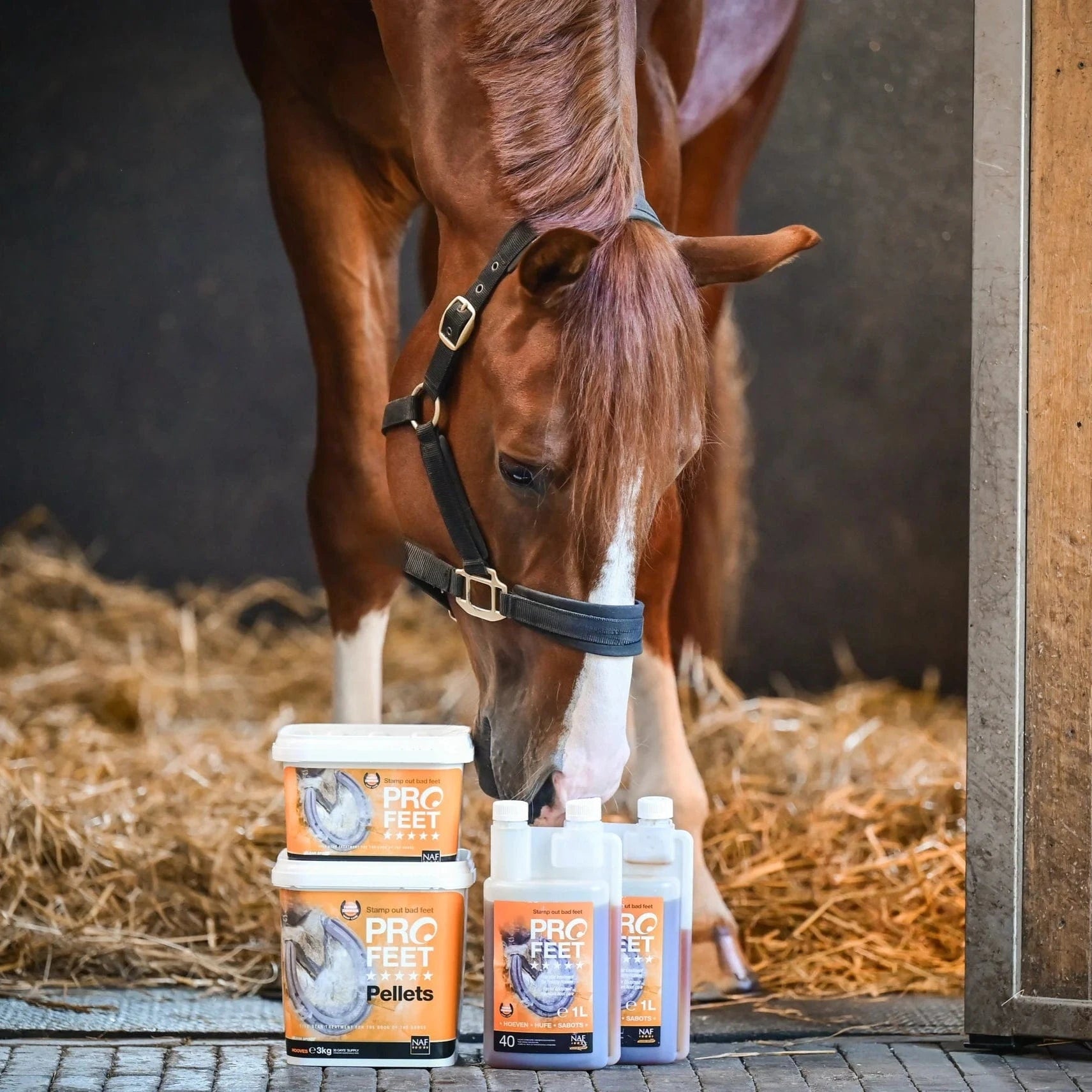naf-equine PROFEET Liquid Liquid Supplement
