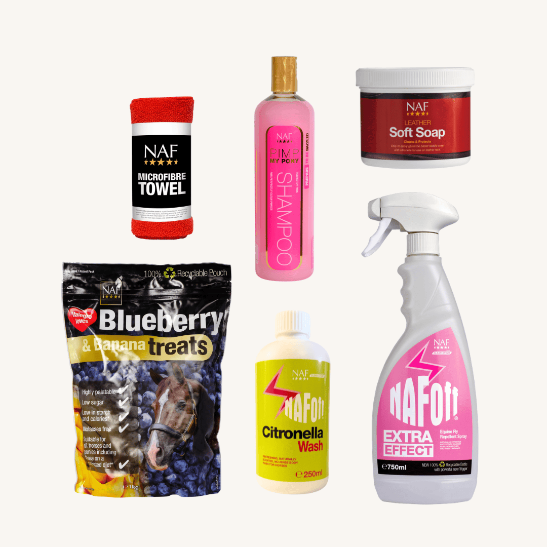 NAF EQUINE Summer Camp Kit