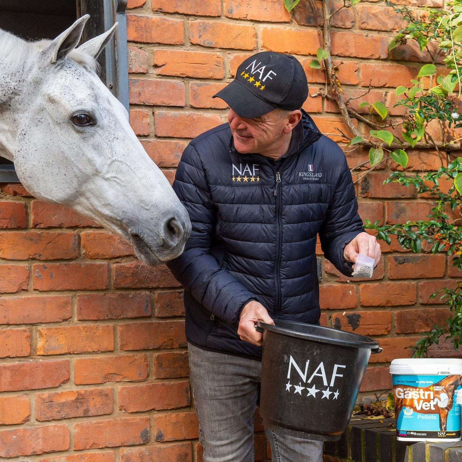 Managing Gastric Health in Stabled Horses