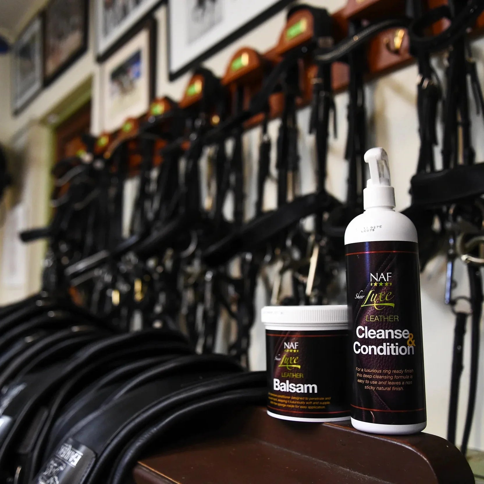Leather Care