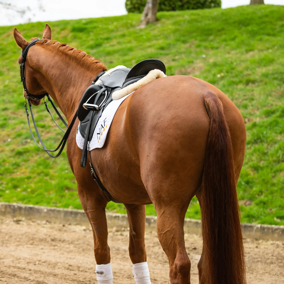 Balancers - NAF Equine