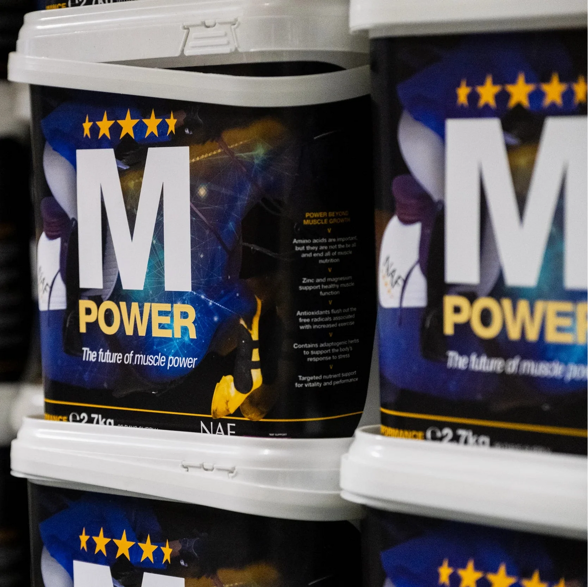 Horse Muscle Supplements | Strength & Development - NAF Equine