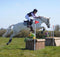 Horse and rider jumping over an obstacle in equestrian competition