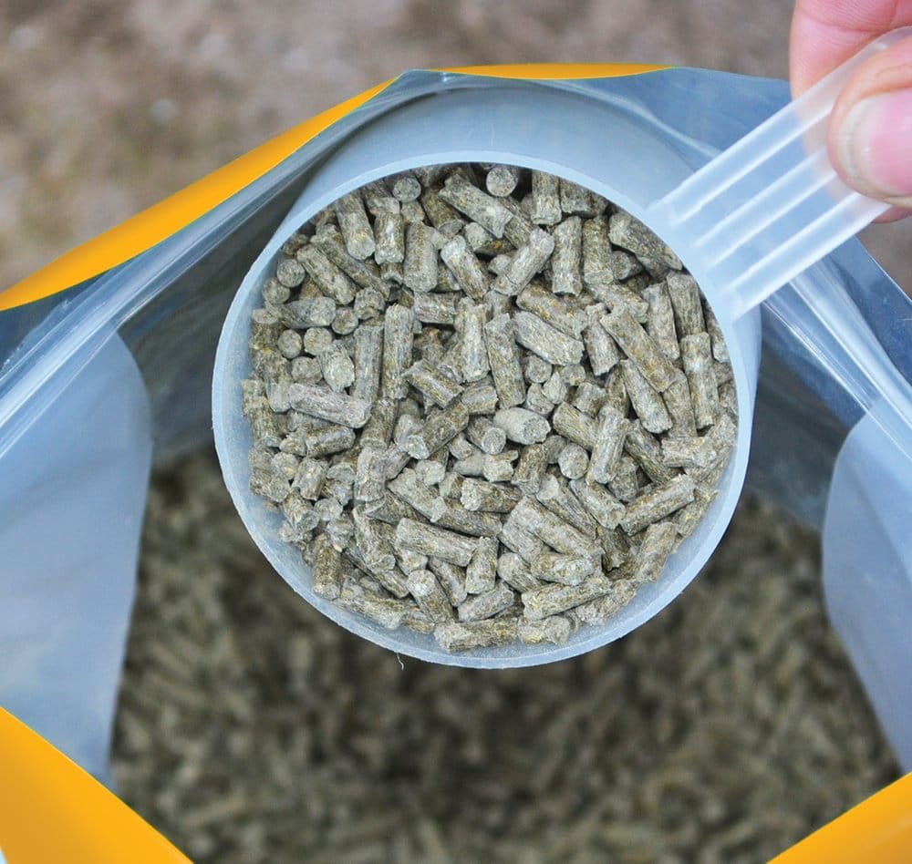Close-up of a container filled with small, round, grayish-brown pellets.