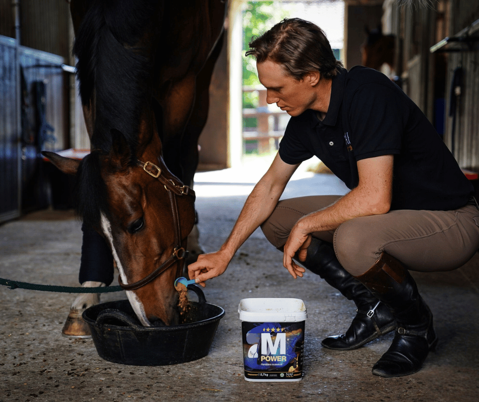 A man feeding horse a supplement in a bucket 