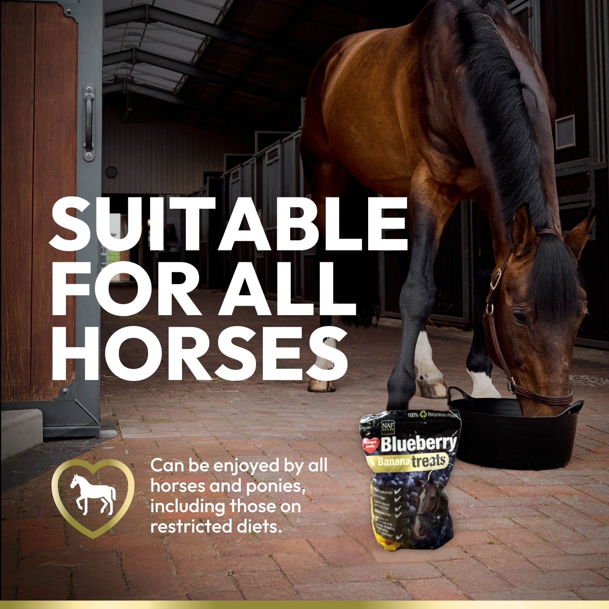 naf-equine Blueberry & Banana Treats 1 kg Treat