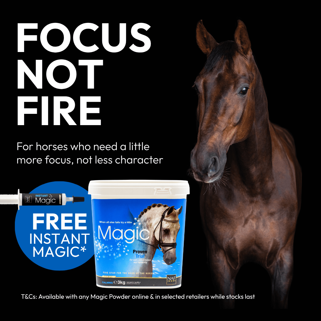 naf-equine Instant Magic Syringe - Promo 1 X 30 ml Liquid Supplement