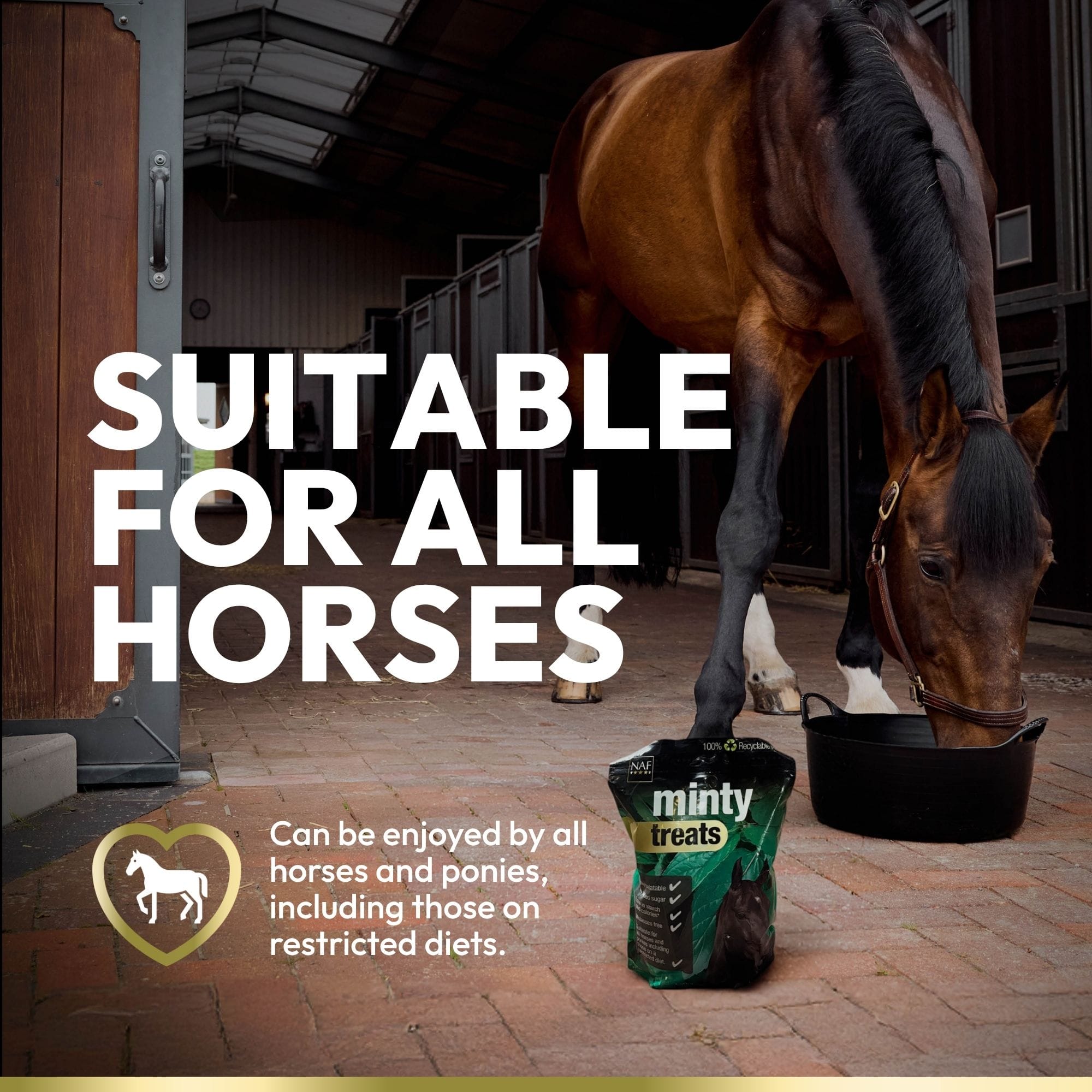 Natural Horse Treats - NAF Minty Treats Low Sugar, Molasses-Free